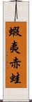 蝦夷赤蛙 Scroll
