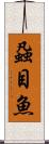 蝨目魚 Scroll