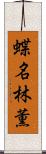 蝶名林薫 Scroll