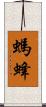 螞蜂 Scroll