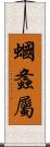 蟈螽屬 Scroll