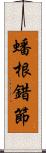 蟠根錯節 Scroll