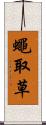 蠅取草 Scroll
