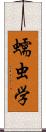 蠕虫学 Scroll