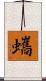 蠵 Scroll