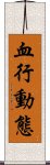 血行動態 Scroll