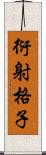 衍射格子 Scroll