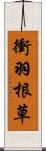 衝羽根草 Scroll