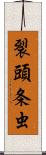 裂頭条虫 Scroll