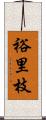 裕里枝 Scroll