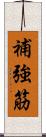 補強筋 Scroll