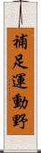 補足運動野 Scroll