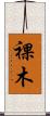 裸木 Scroll