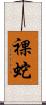 裸蛇 Scroll