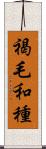 褐毛和種 Scroll