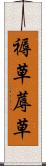 褥草 Scroll