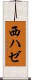 西ハゼ Scroll
