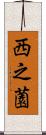 西之薗 Scroll