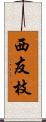 西友枝 Scroll