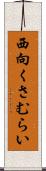 西向くさむらい Scroll