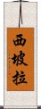 西坡拉 Scroll