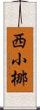 西小梛 Scroll