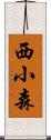 西小森 Scroll