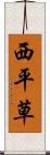 西平草 Scroll