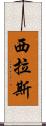 Cylas Scroll