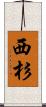 西杉 Scroll