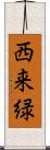 西来緑 Scroll