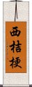 西桔梗 Scroll