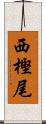 西樫尾 Scroll