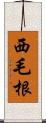 西毛根 Scroll