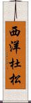 西洋杜松 Scroll
