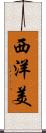 西洋美 Scroll