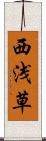西浅草 Scroll