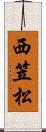 西笠松 Scroll