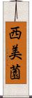 西美薗 Scroll