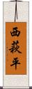 西萩平 Scroll