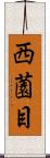 西薗目 Scroll