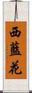 西藍花 Scroll