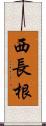 西長根 Scroll