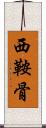 西鞍骨 Scroll