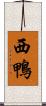 西鴨 Scroll