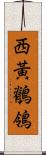 西黃鶺鴒 Scroll