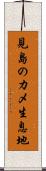 見島のカメ生息地 Scroll