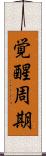覚醒周期 Scroll