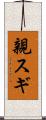 親スギ Scroll