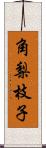 角梨枝子 Scroll